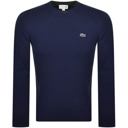 Lacoste jumper sale outlet